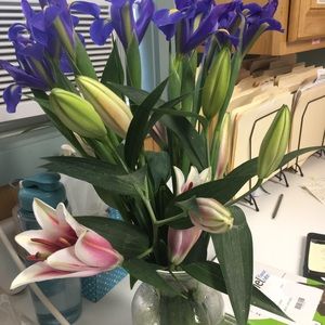 Meet your Posher, Grace